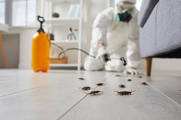 Trusted Cockroach Control service in Governors Club, NC - Nex Pest Control