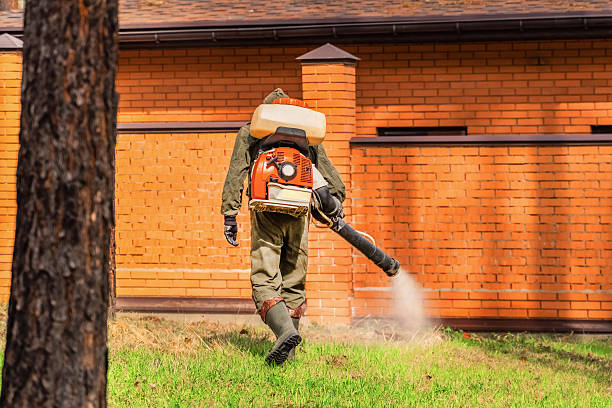 Trusted Bed Bug Control service in Governors Club, NC - Nex Pest Control